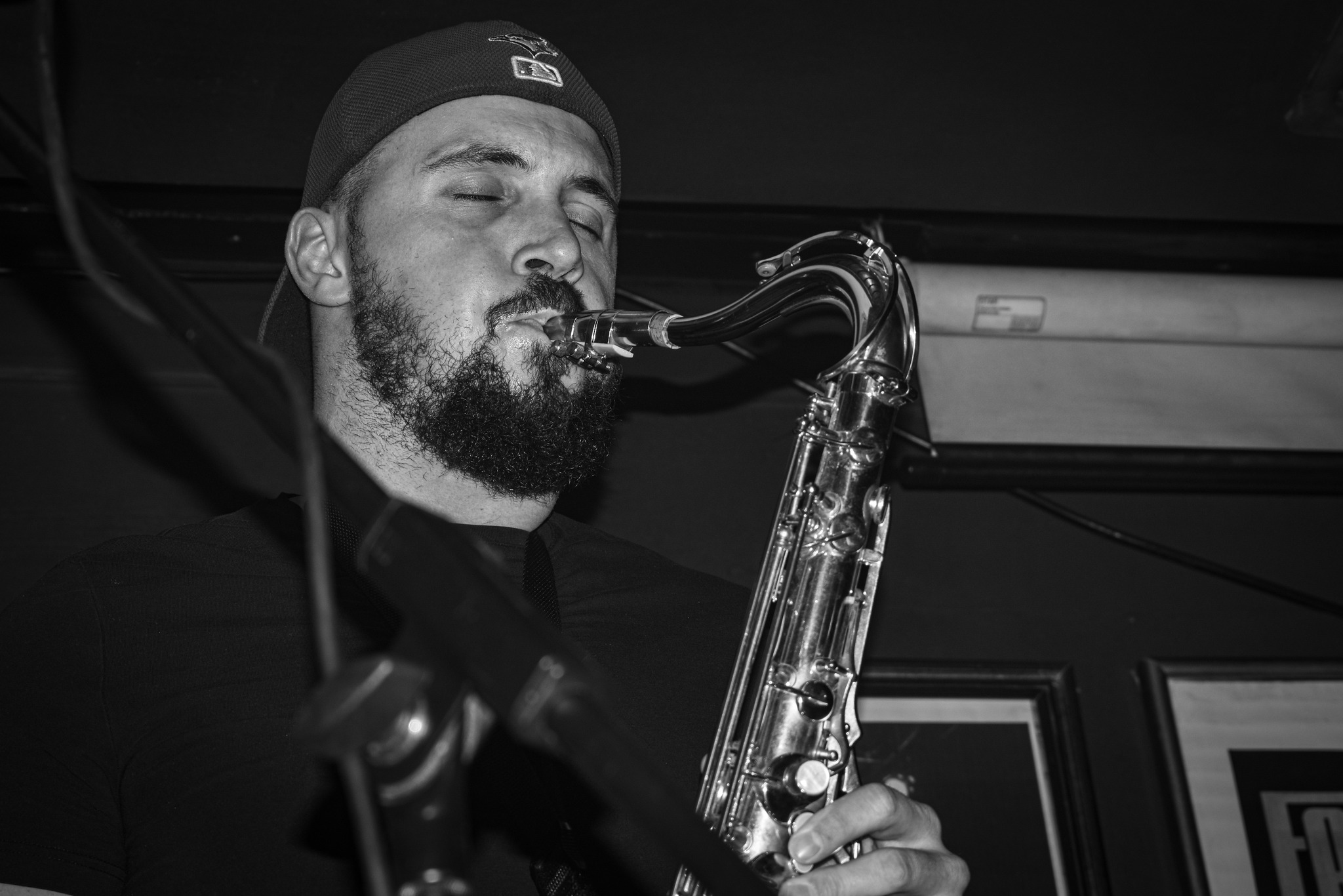 Dodger Artfool The Vipers