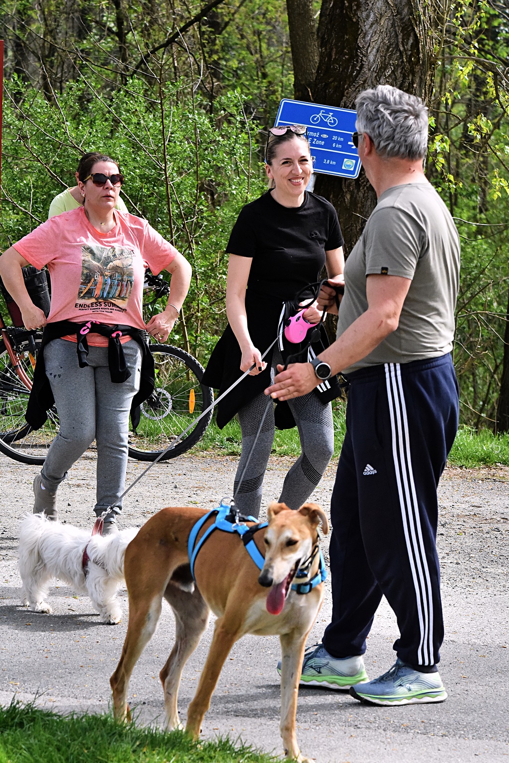 Image 6004945 (auto)