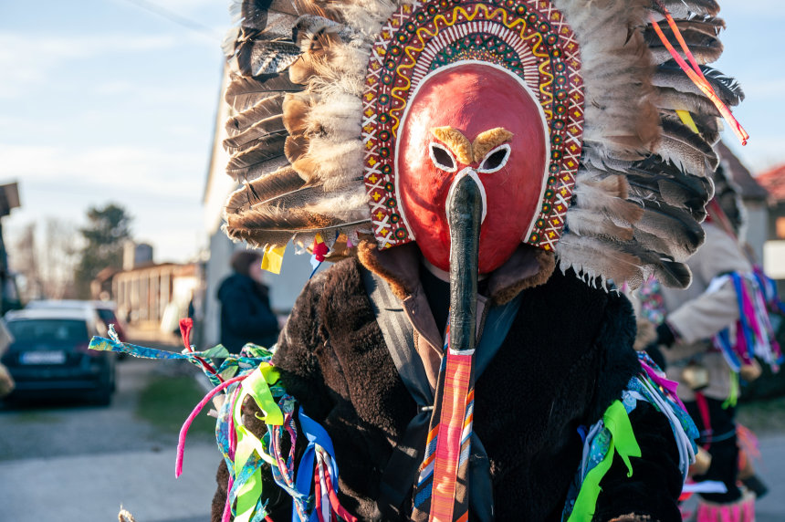 Image 5606877 (auto)