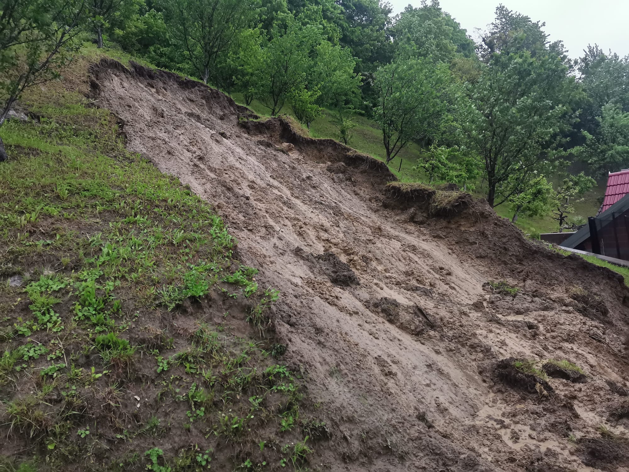 Image 5696745 (auto)