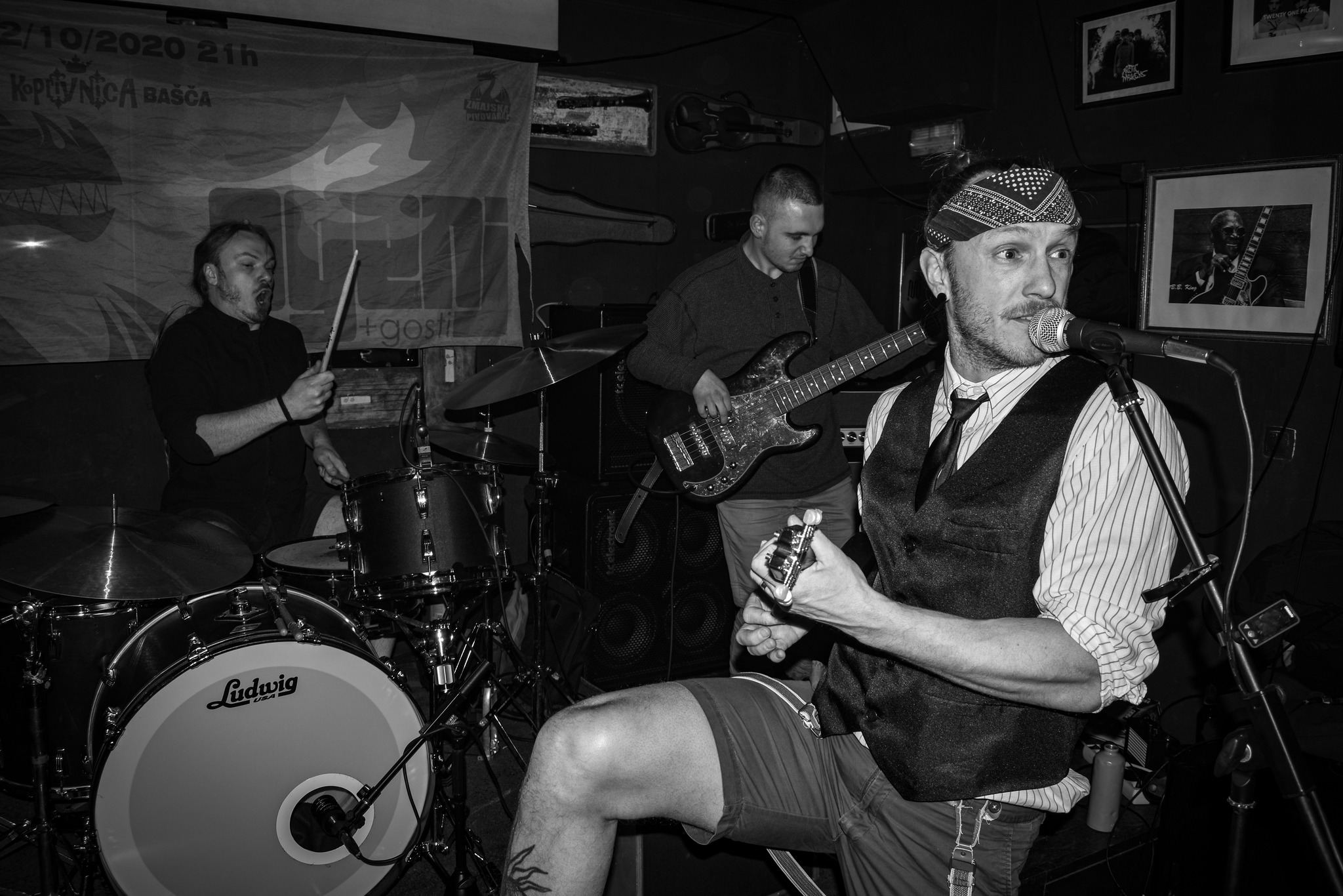 Dodger Artfool The Vipers