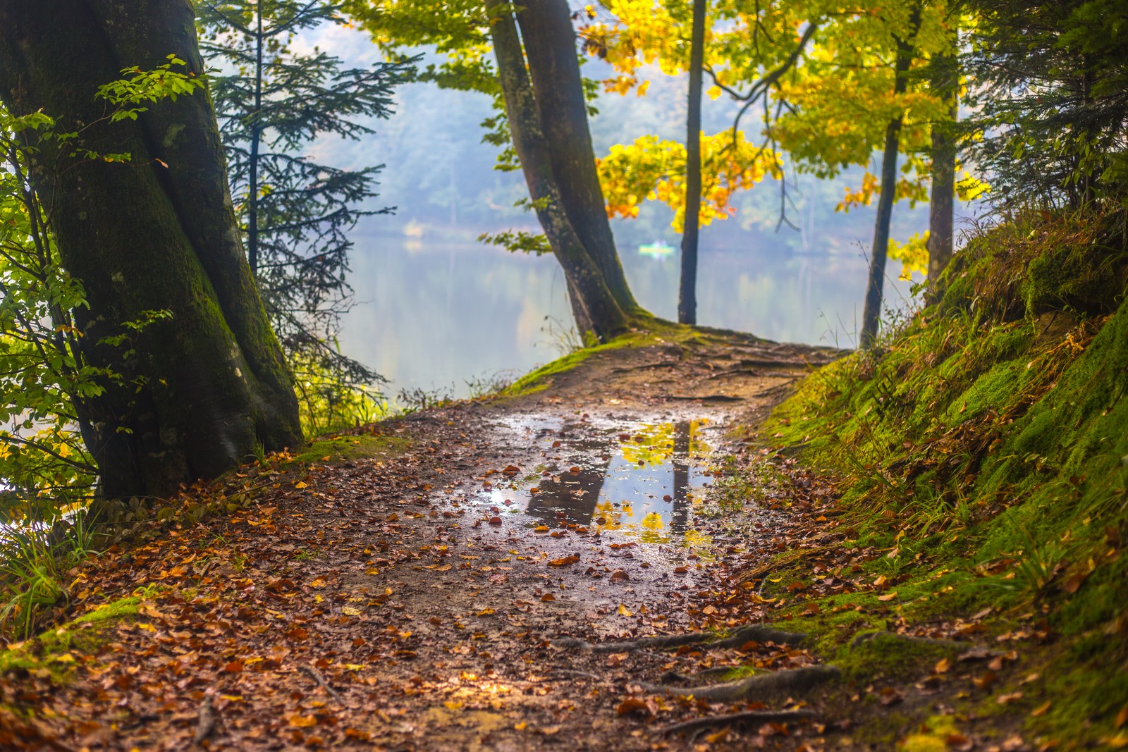 Jesen u Trakošćanu