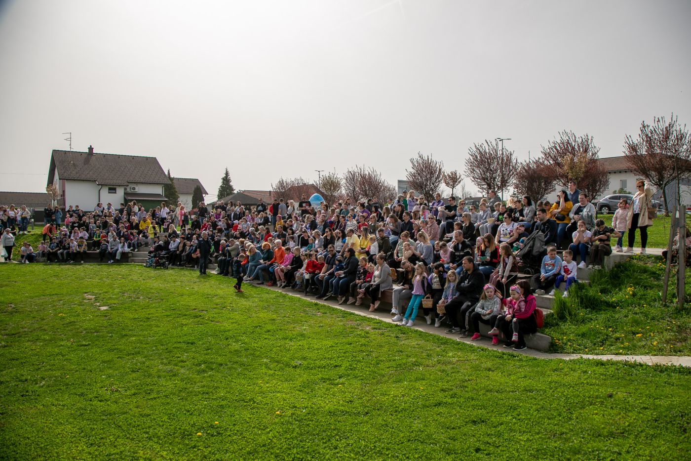 Image 6005809 (auto)