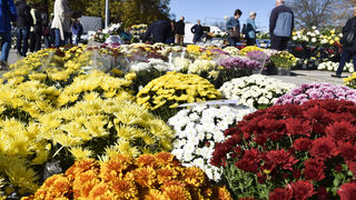 Gradska tržnica Varaždin Gradska tržnica Varaždin