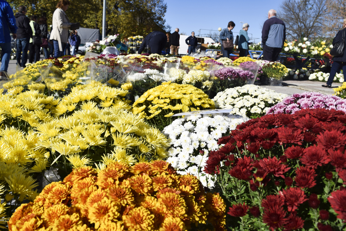 Gradska tržnica Varaždin Gradska tržnica Varaždin