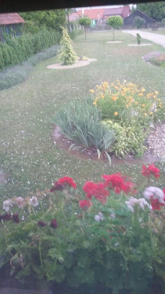 1173341199273979742518319190058