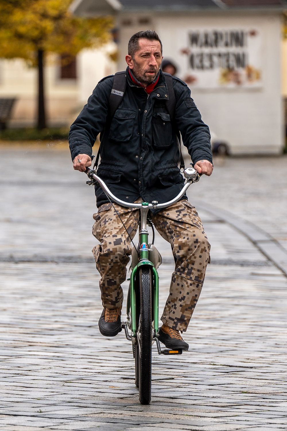 Image 5896293 (auto)