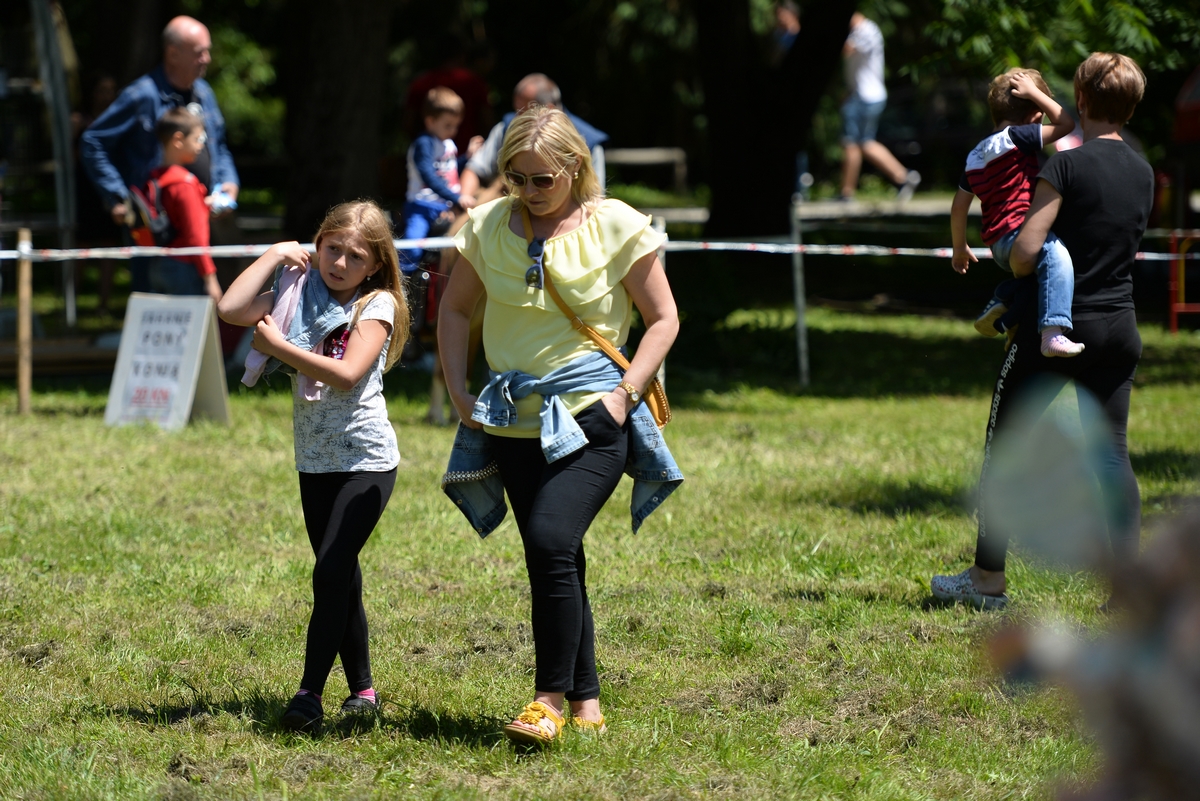 Konjičke igre u Zelendvoru