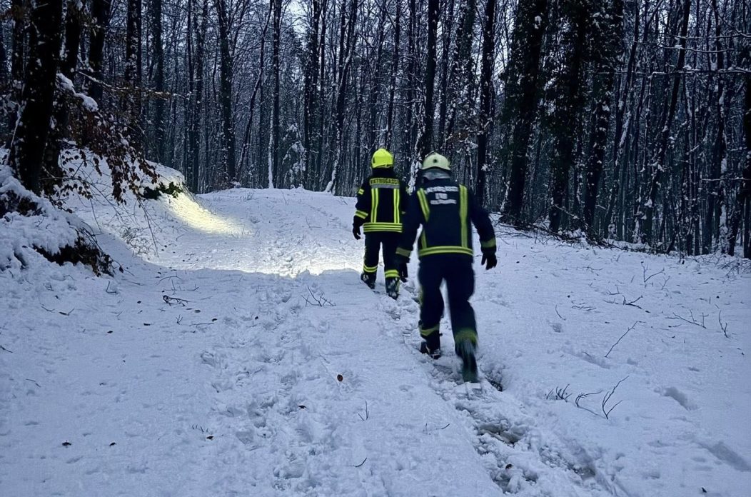 šuma, zima, vatrogasci