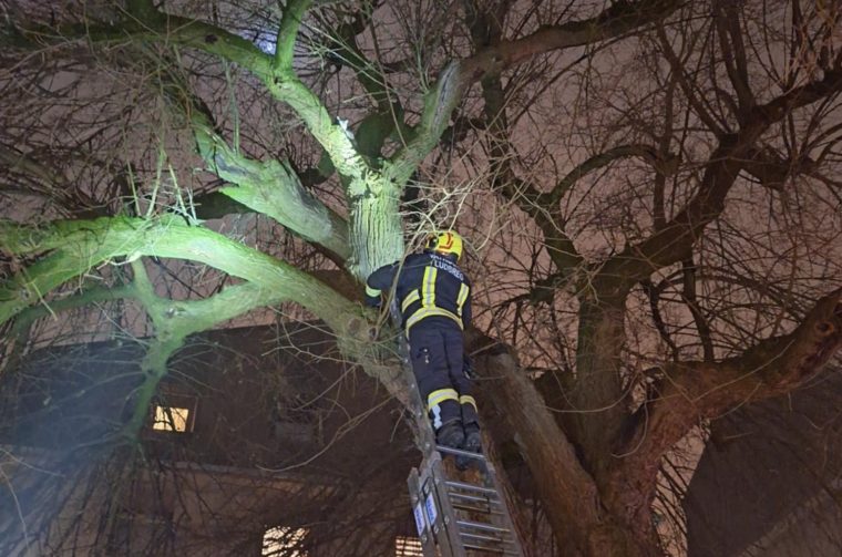 605767214_26020300810900639_5288047550259034682_n