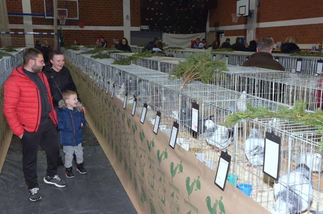 izložba malih životinja