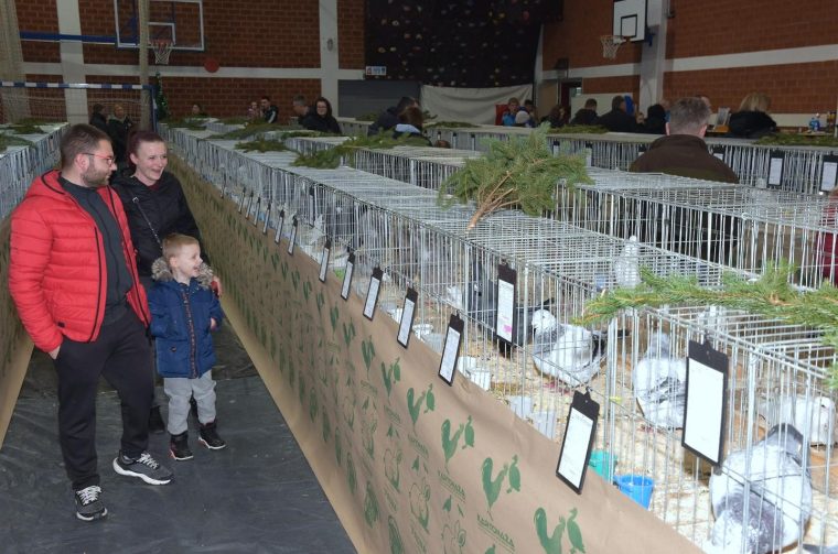 izložba malih životinja