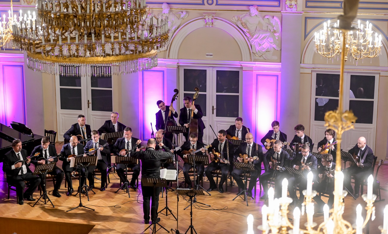 Image 5686955 (auto)