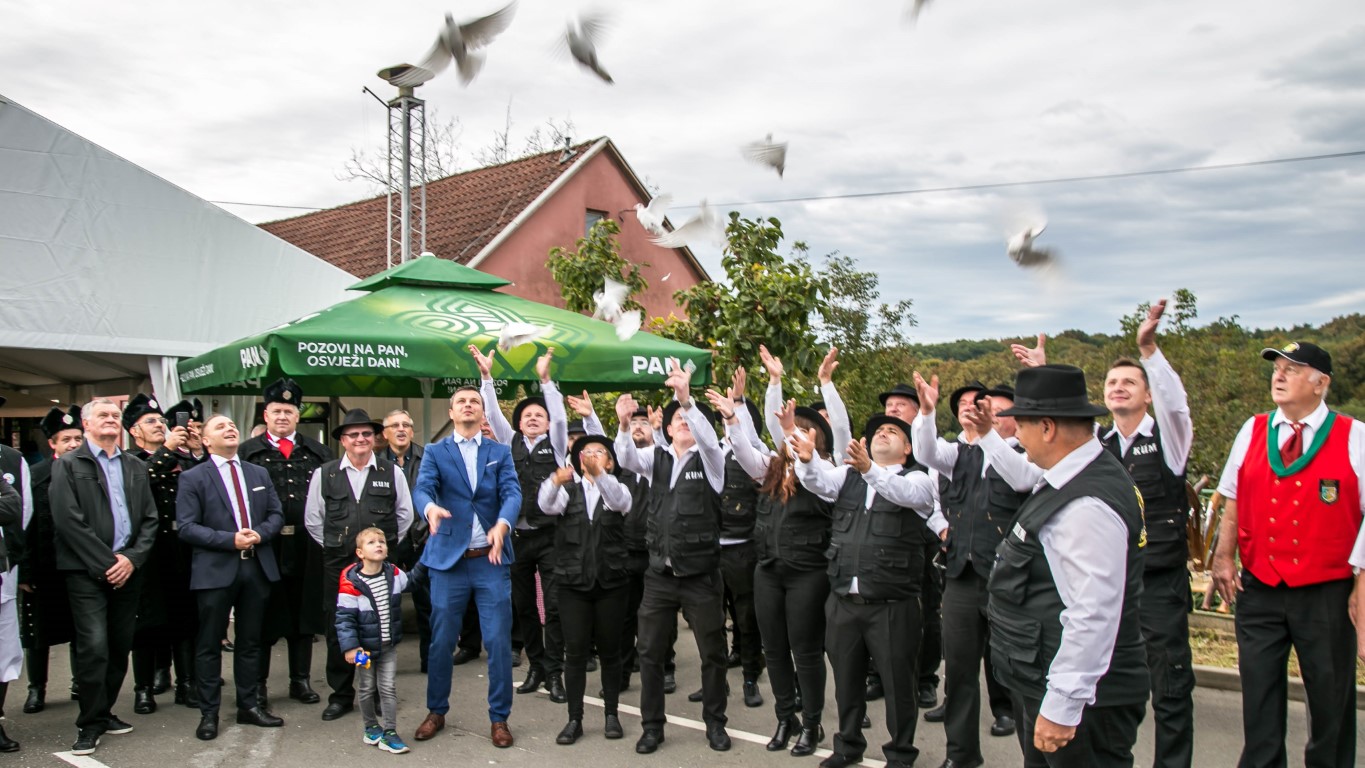 Image 5489700 (auto)