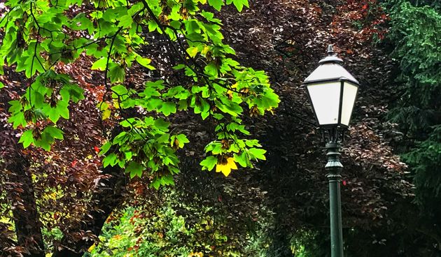 Jesen u varaždinskom parku