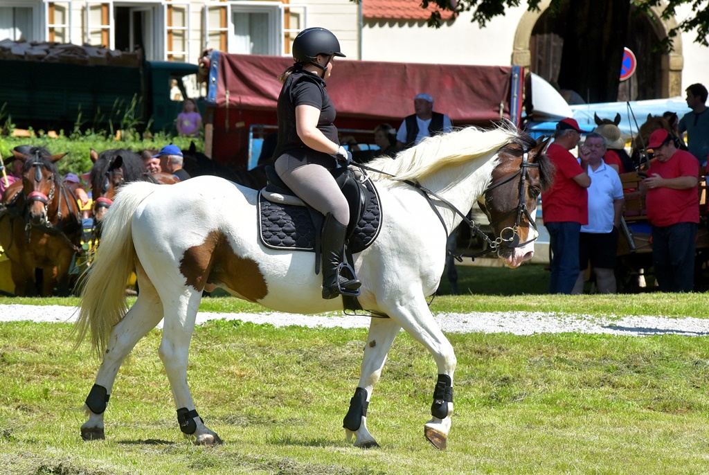 Image 5377140 (auto)