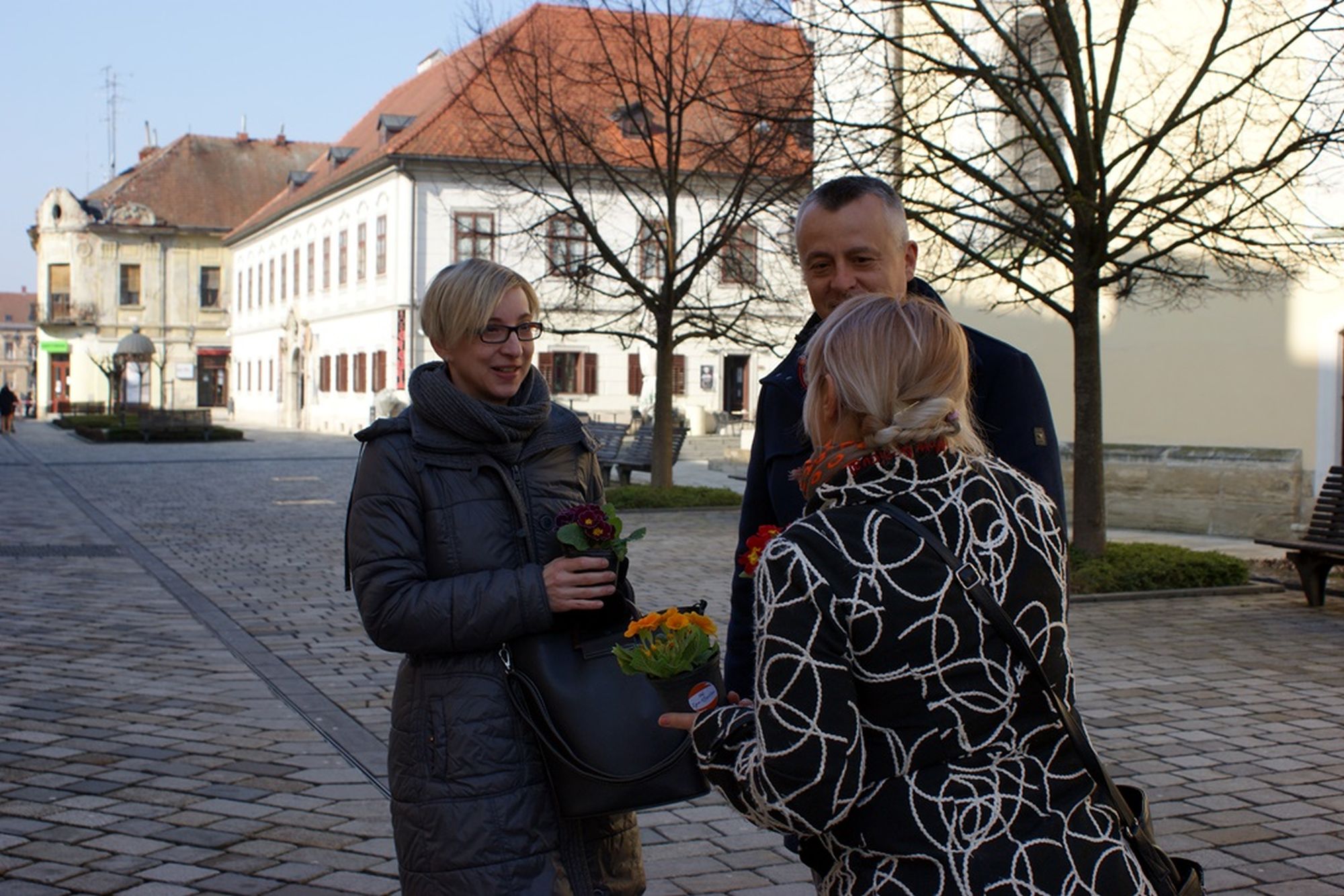 Image 5621901 (auto)