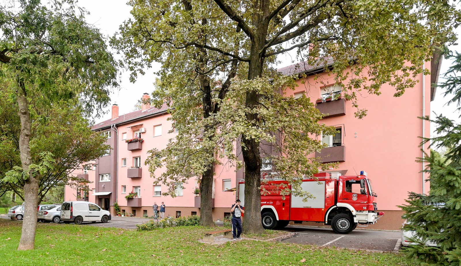 Image 5470618 (auto)