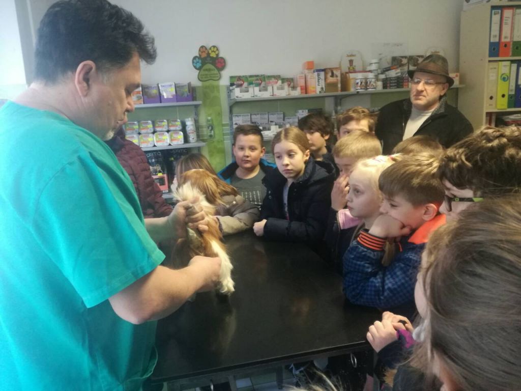 img40177a1633842784b2085b5fc7a5