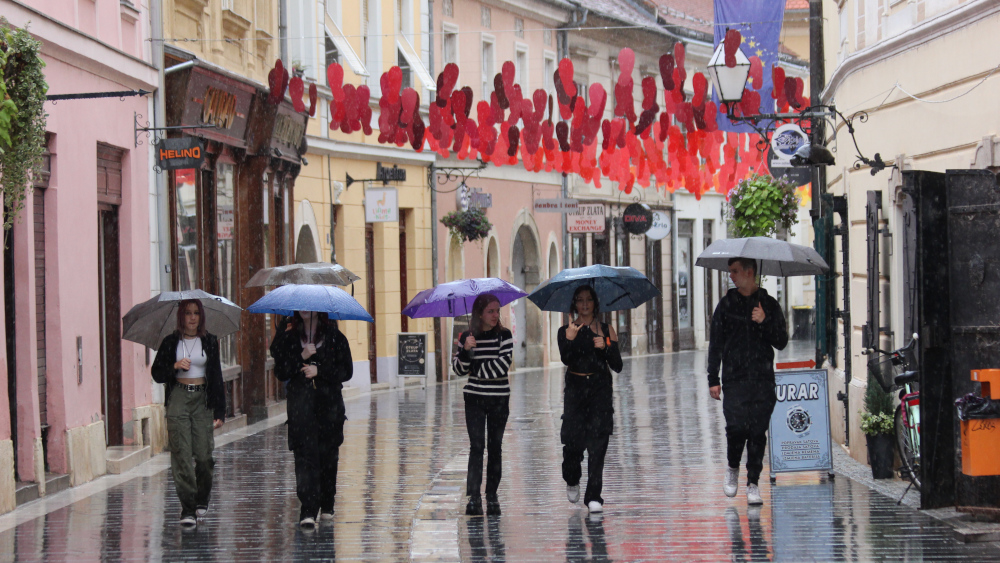 Image 5451372 (auto)