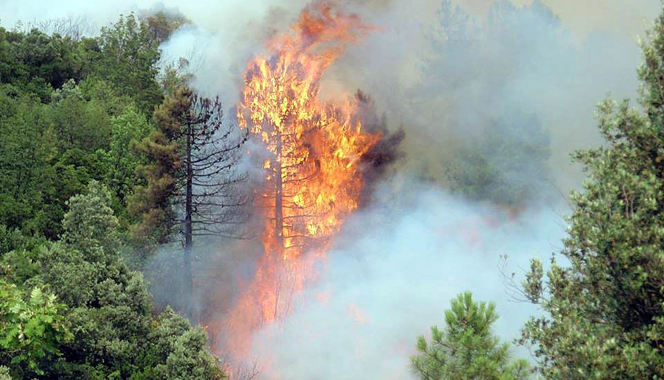 peljesacvatrogasci13978927