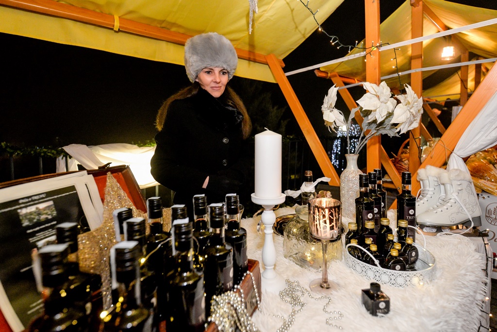 Grad Novi Marof Grad Novi Marof