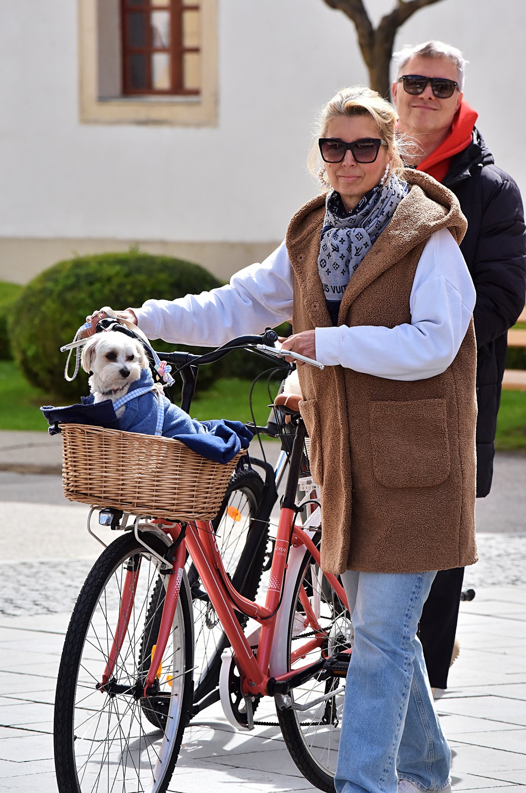 Image 6016939 (auto)