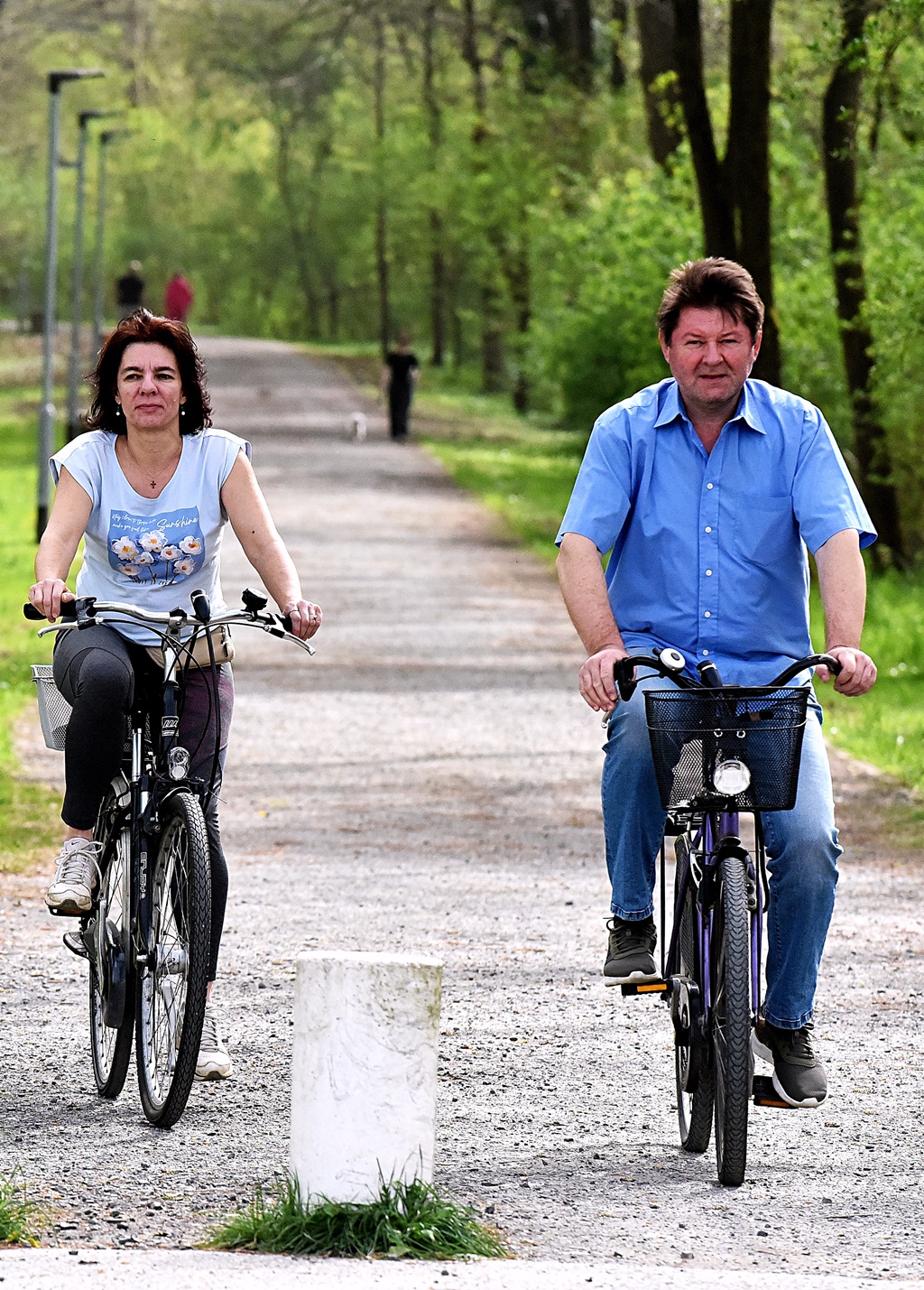 Image 6004921 (auto)