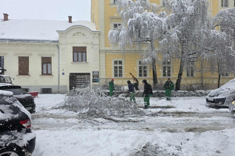 snijeg drvo gimnazia