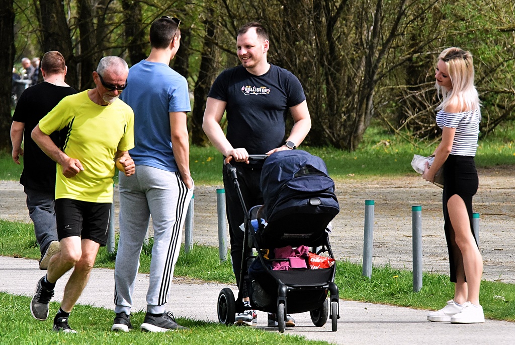 Image 6004933 (auto)