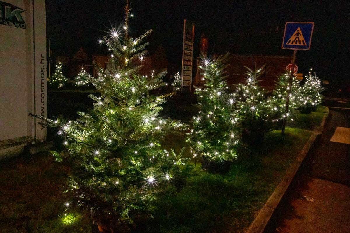 Image 5535214 (auto)