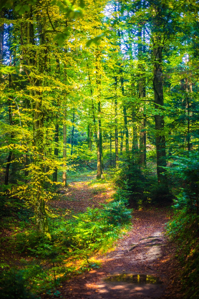 Jesen u Trakošćanu