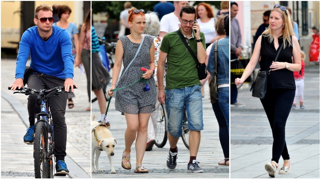 Image 2704867 (auto)