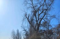 649516082_10164089558380149_8580893939260895892_n 649516082_10164089558380149_8580893939260895892_n