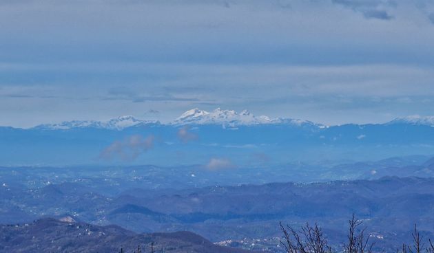 Image 5647553 (auto)