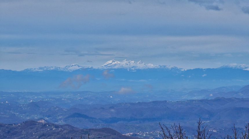 Image 5647553 (auto)