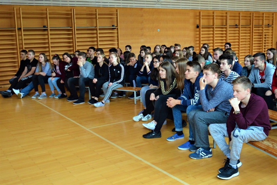 Image 3651193 (auto)