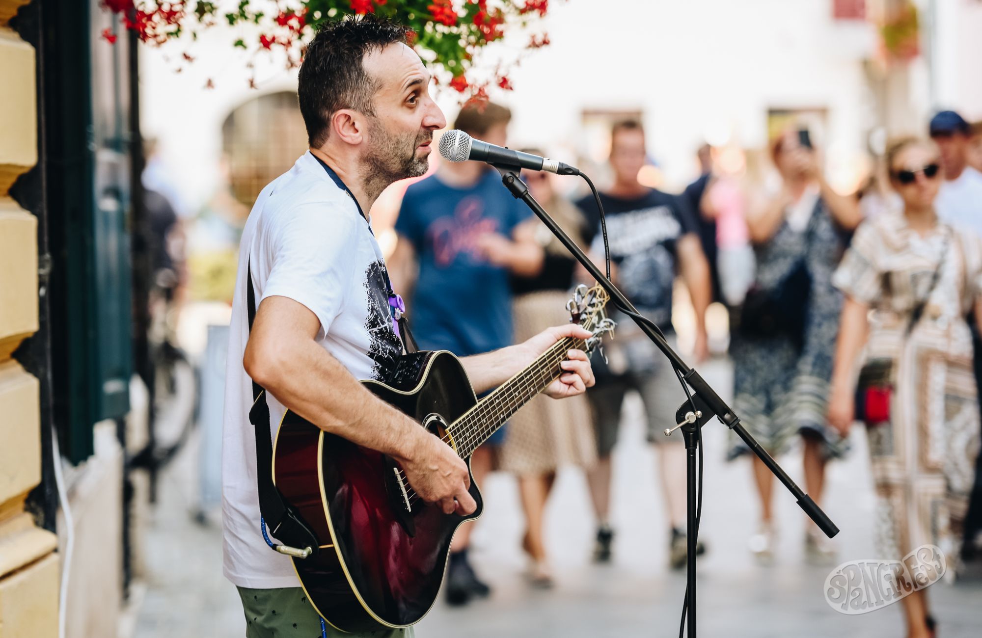 Image 5808793 (auto)