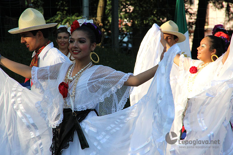 mekasikanciuvisnjici07701124