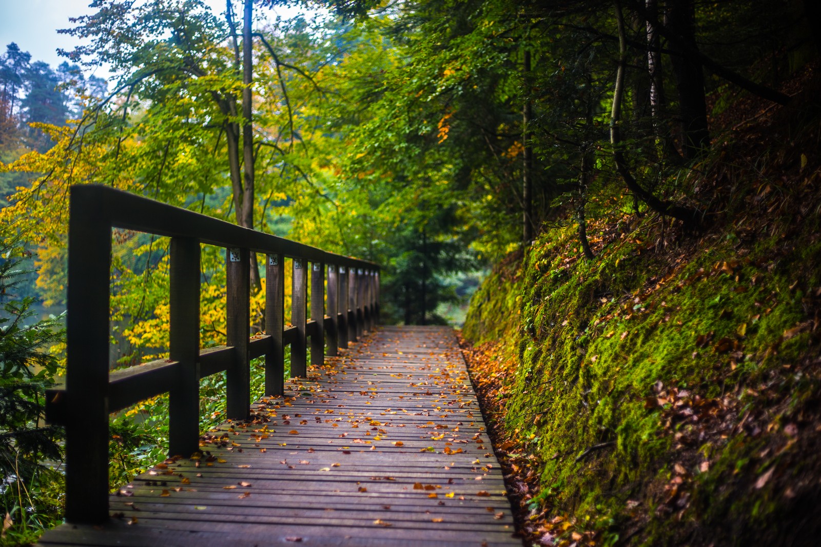 Jesen u Trakošćanu
