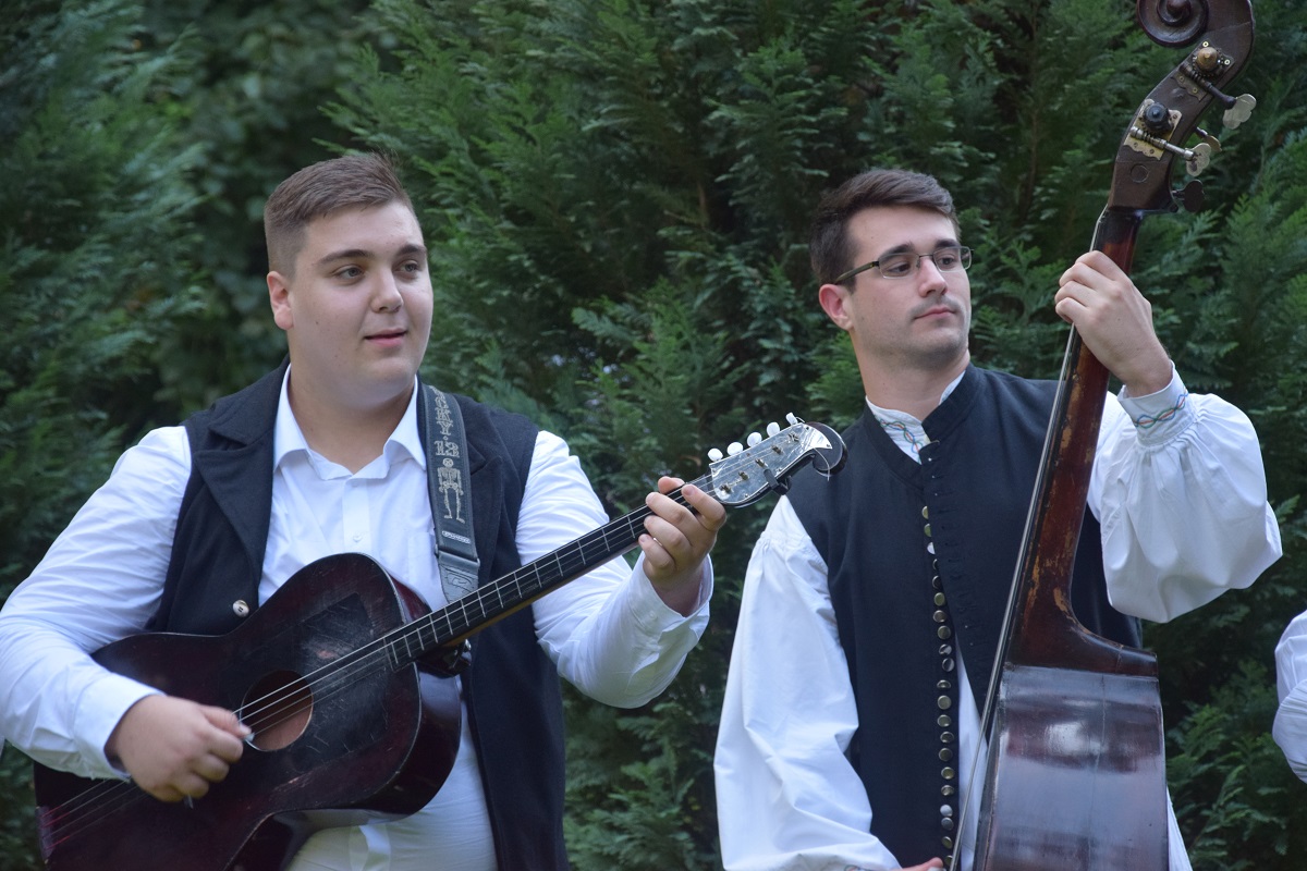 Image 4647894 (auto)