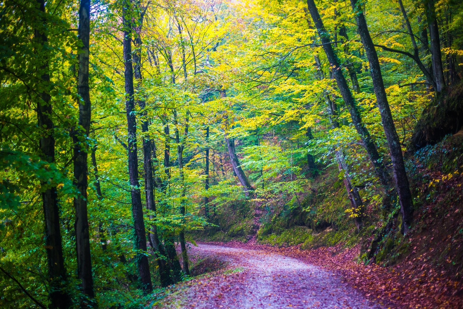 Jesen u Trakošćanu