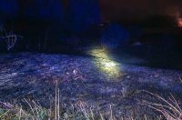 661380922_1397240109104617_7422446250652904598_n