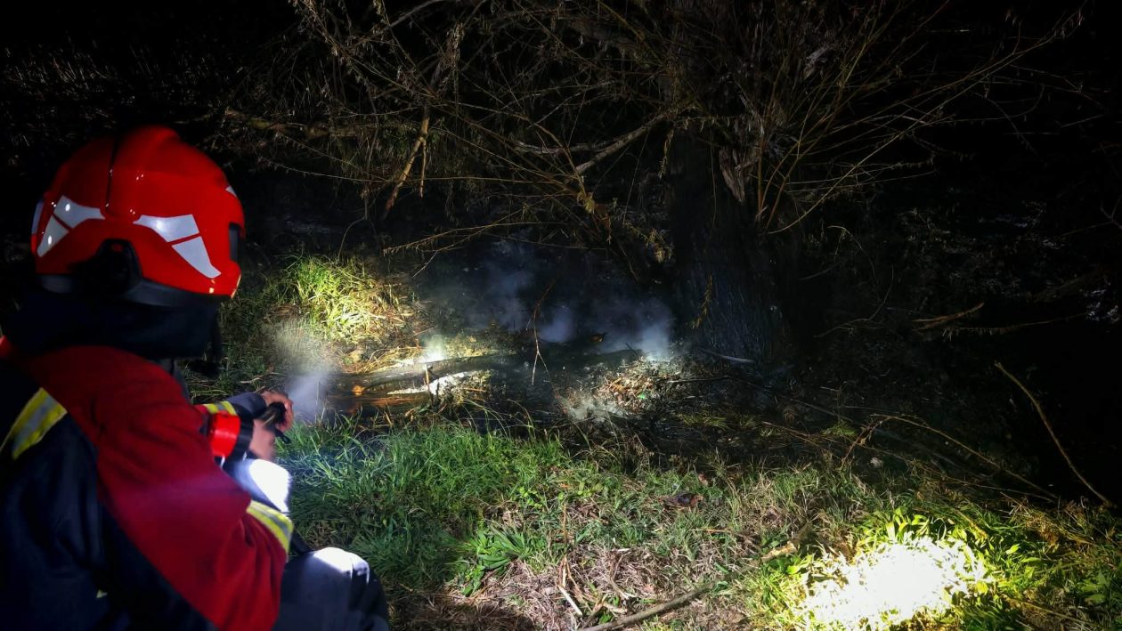 662733634_1397240052437956_4749630337068629803_n