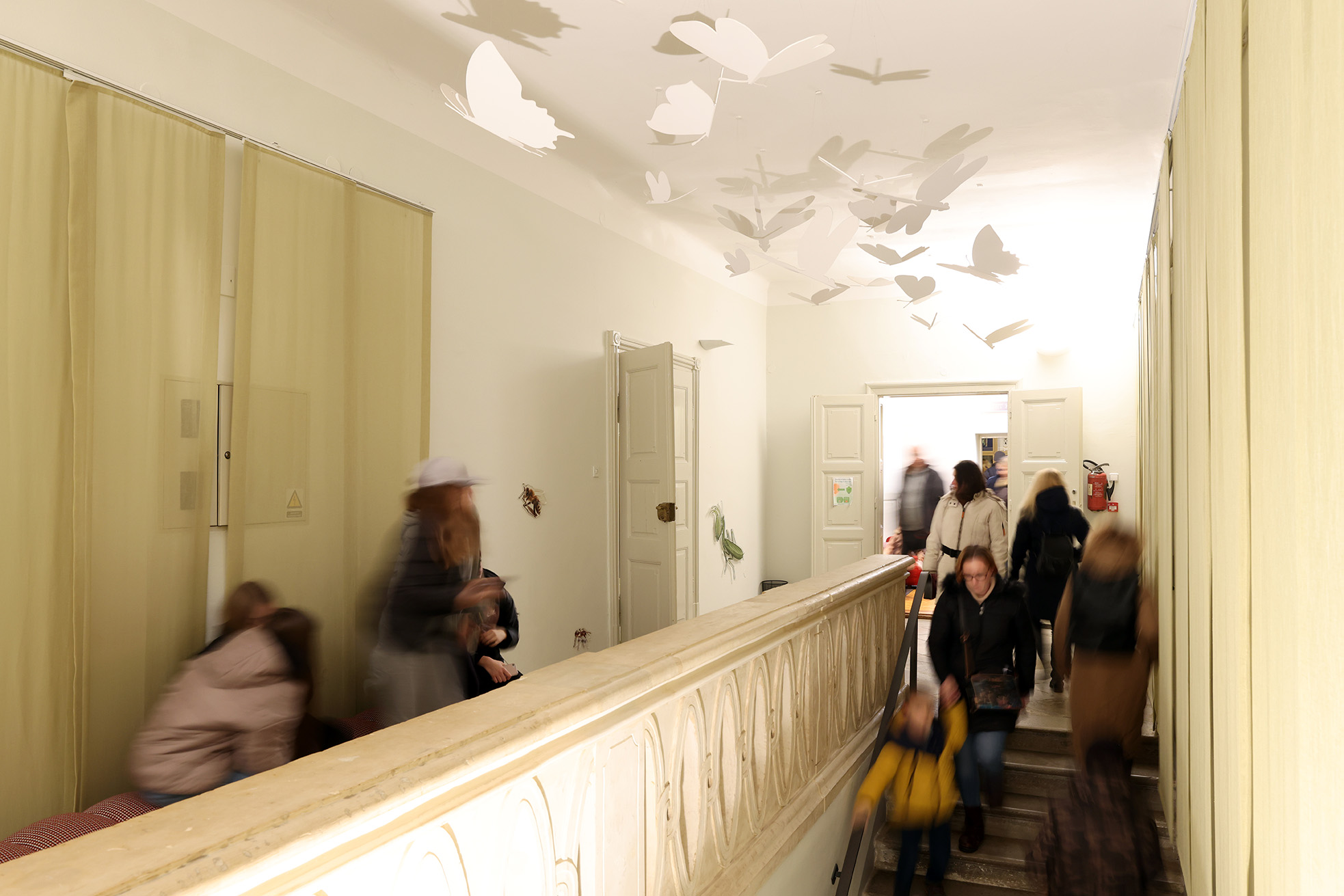 Image 5593249 (auto)