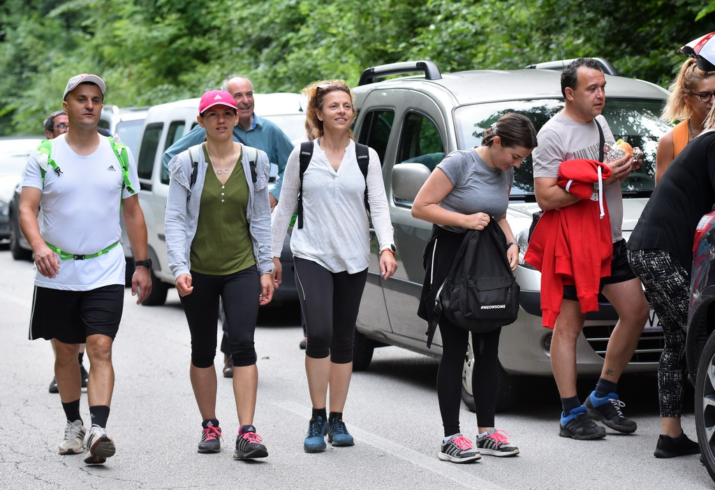 Image 4542358 (auto)