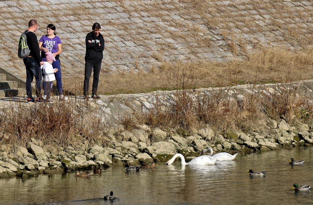 Klikom po Dravi 13.10.2019.