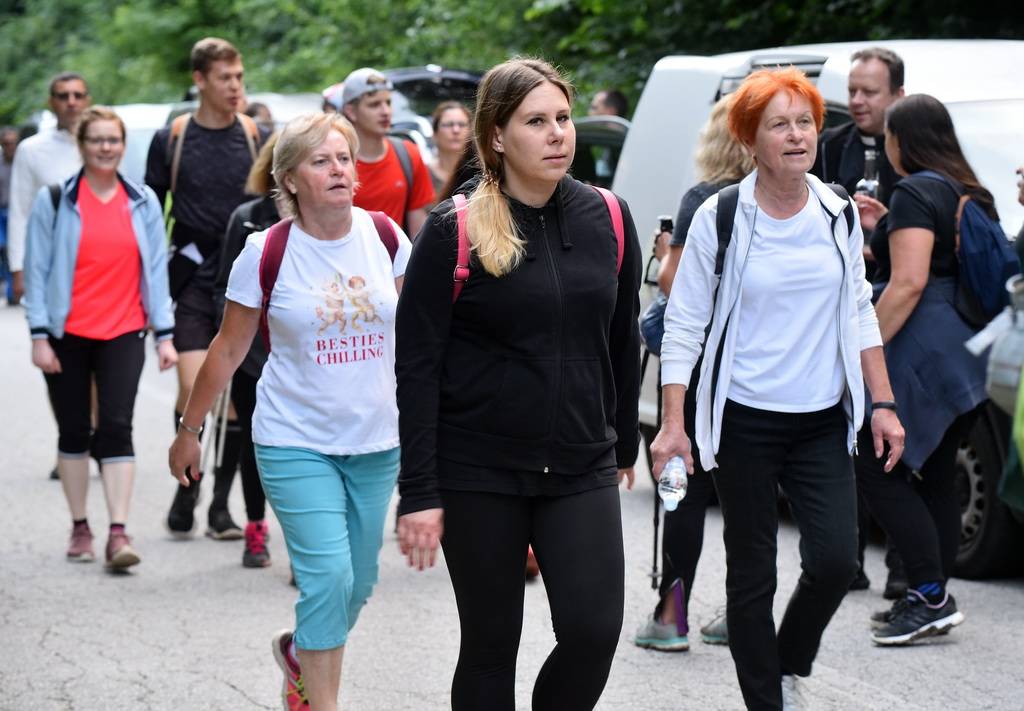 Image 4542372 (auto)