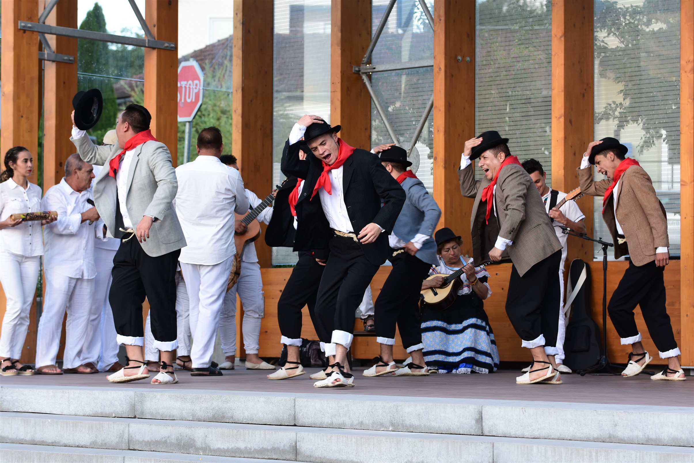 Image 5419030 (auto)