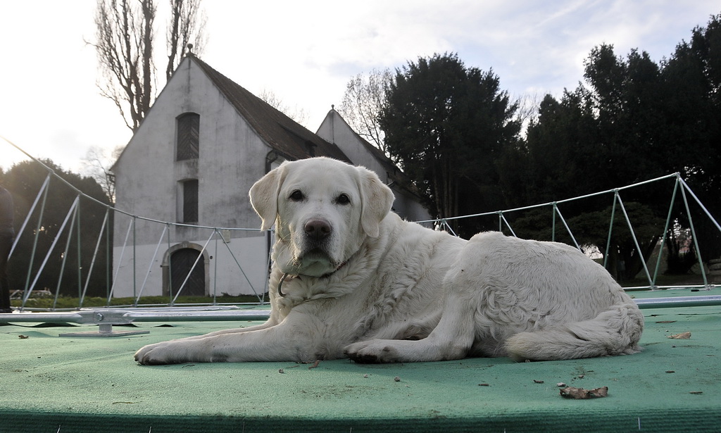 Montaža iglu barova, klizališta i ledenog tobogana